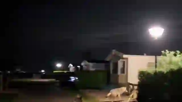 Wolvenroedel in Hengstdijk (Google Veo 2)